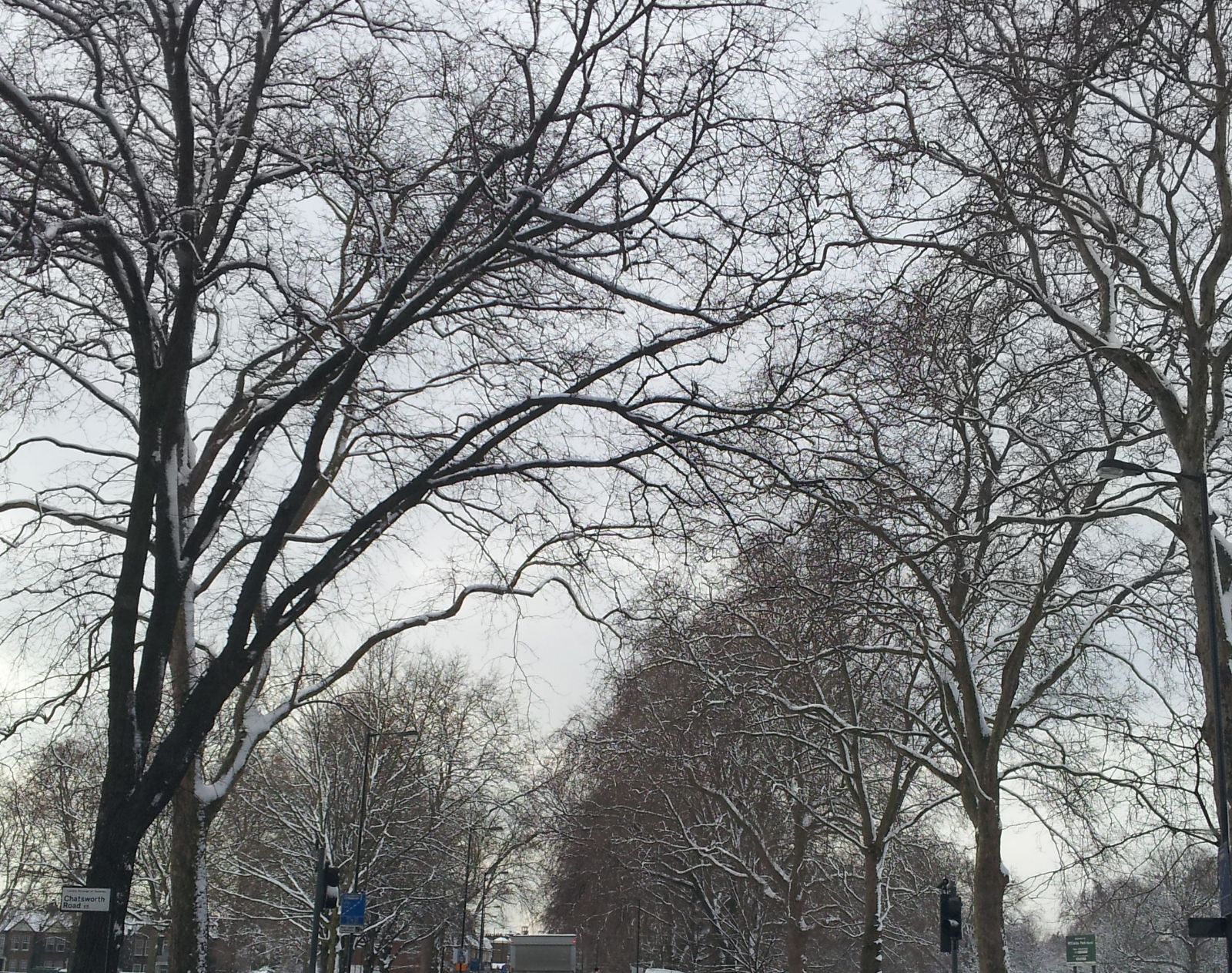 Snow in London
